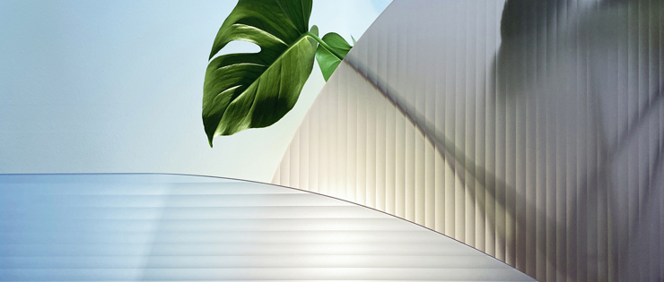 A blue and a brown divider made of acrylic with a plant and light behind it